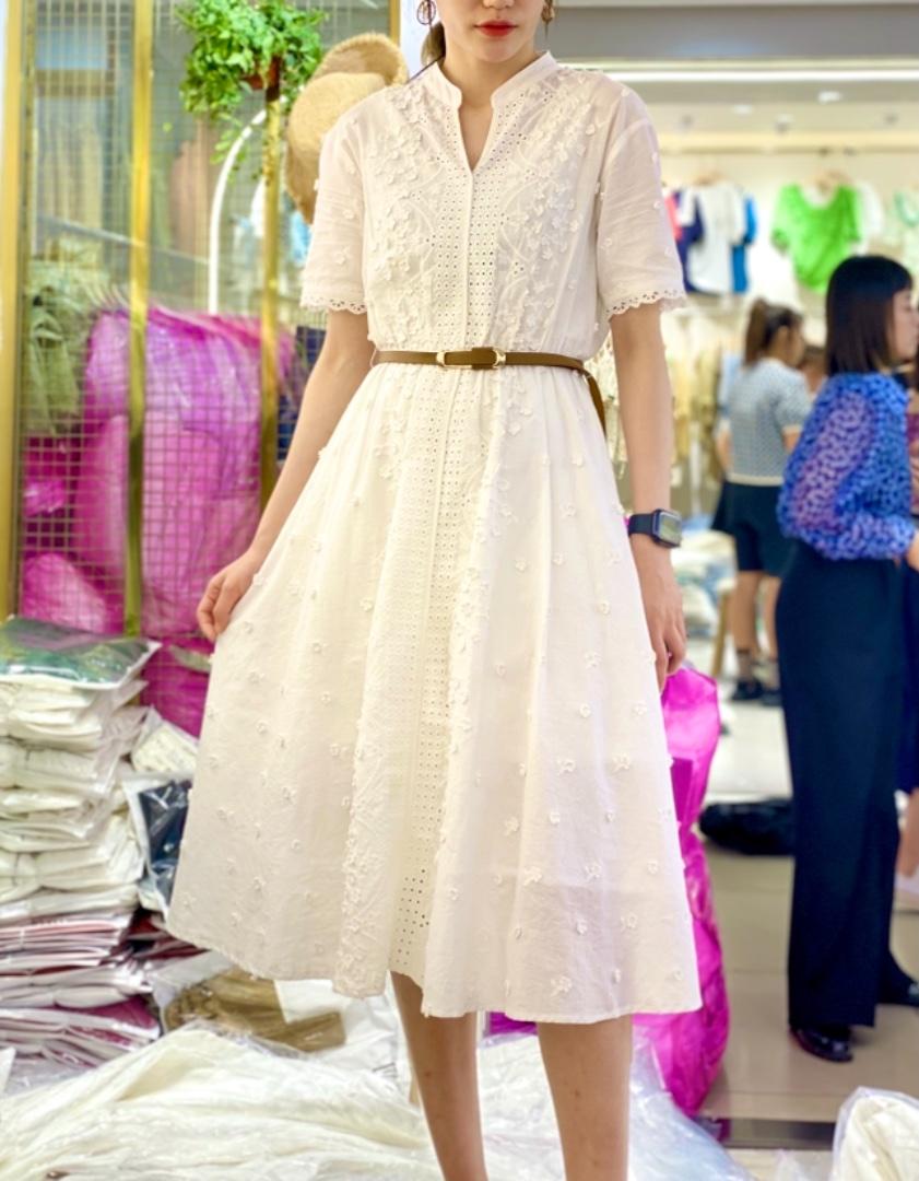 登石木子 DSMZ118411