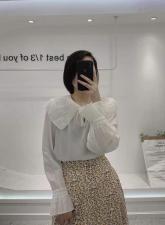 春季新款天丝衬衫，女装衬衫，影白