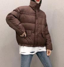 DG851韩版新款时尚立领保暖百分百羽绒服，女装羽绒服，L·H·X