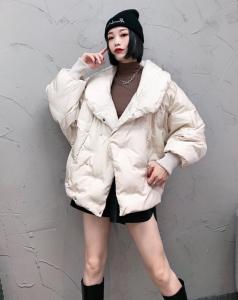 SGH2095欧范围脖领刺绣印花小众百搭百分百羽绒外套,女装,L·H·X