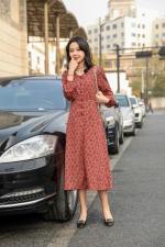 现货春装新款复古连衣裙长?，女装连衣裙，潮溢