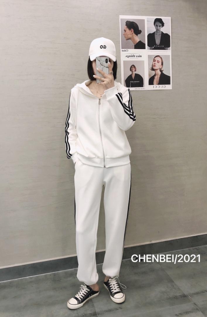 晨贝3色套装，女装职业装，晨贝