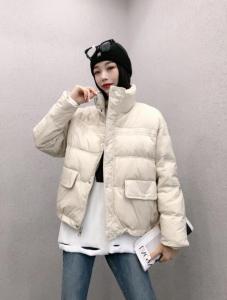 DG851韩版新款时尚立领保暖百分百羽绒服,女装羽绒服,L·H·X