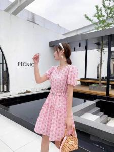 2021年夏季新品 韩版印花连衣裙,女装连衣裙,圣伊敏