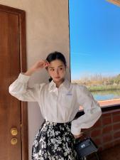 泡泡袖子衬衫，女装衬衫，咔柠