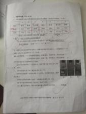 夏季新品短裤，女装，雪儿诱惑