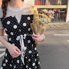 韩版连衣裙，女装连衣裙，天使公主
