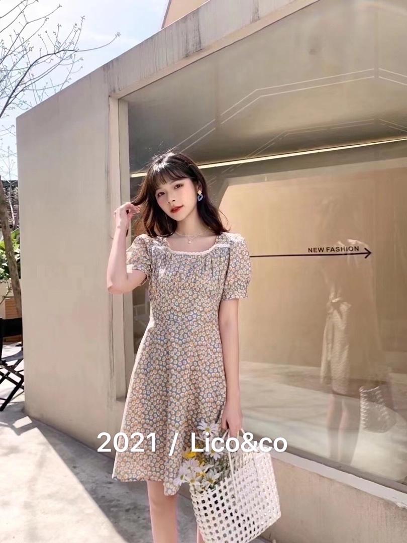 Lico&co(1F) LICOCO1F112541