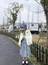 【春季新款】自制长款蓝花连衣裙，女装连衣裙，FZ
