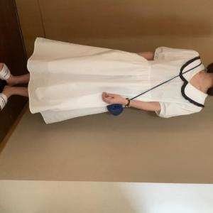 夏季新款，女装，HZH