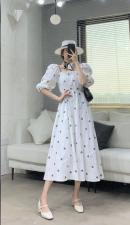 每日上新，女装，AMG