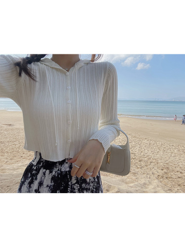 小海豚