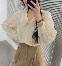 小翻领刺绣纹纯系衬衣，其它，新袖