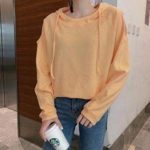 秋款新款,其它,诺贝